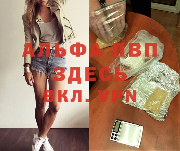 spice Богородск