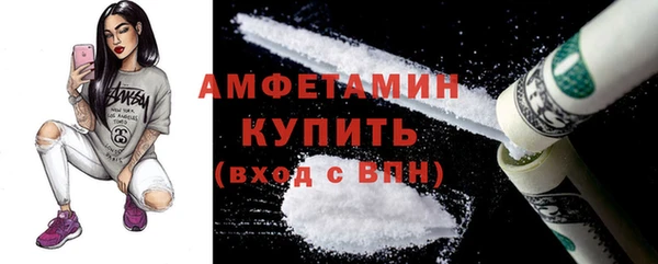 шишки Богородицк