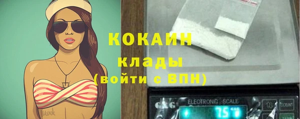 spice Богородск