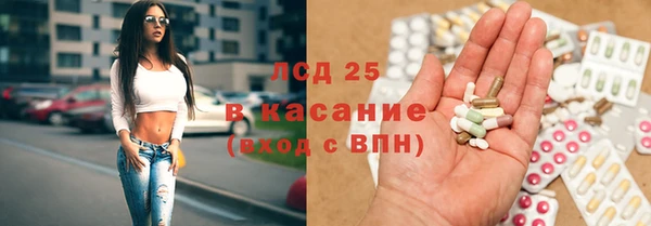 шишки Богородицк