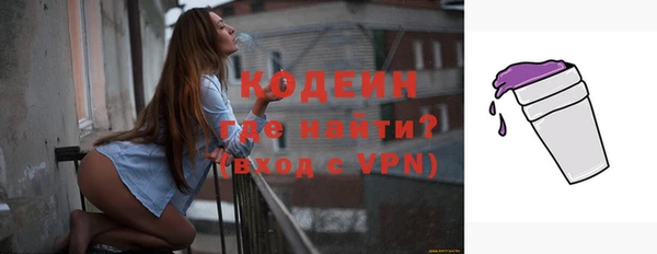 шишки Богородицк