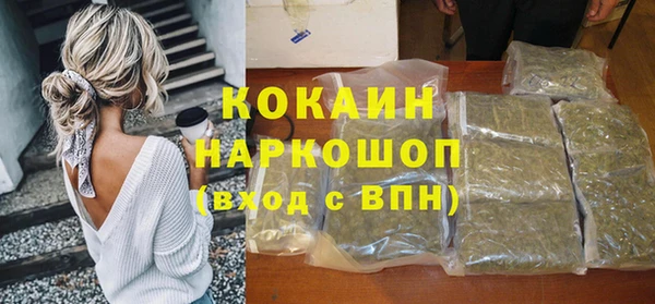 шишки Богородицк