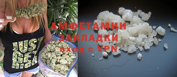 шишки Богородицк