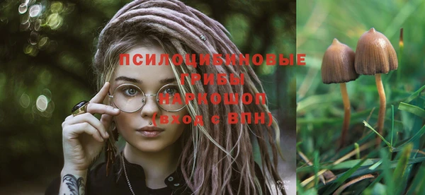 шишки Богородицк