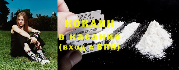 шишки Богородицк