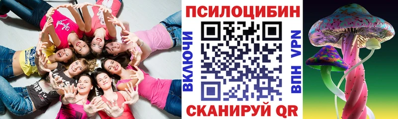 Псилоцибиновые грибы мухоморы  купить наркотики цена  Вельск 